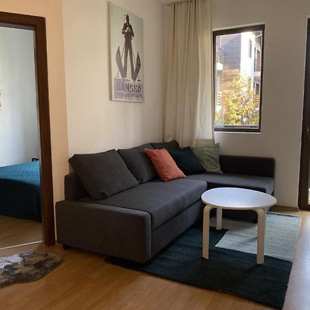 2 Bedroom Apartment Next To Gondola Ski Lift Банско Экстерьер фото